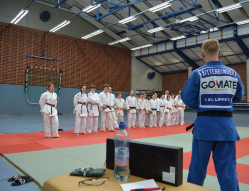 Judo Challenge Day